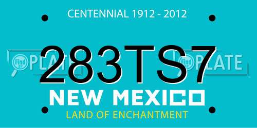 283TS7 New Mexico License Plate