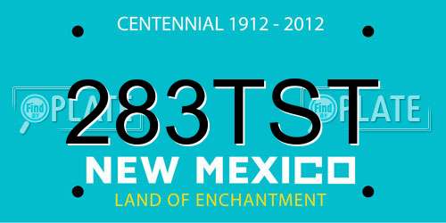 283TST New Mexico License Plate