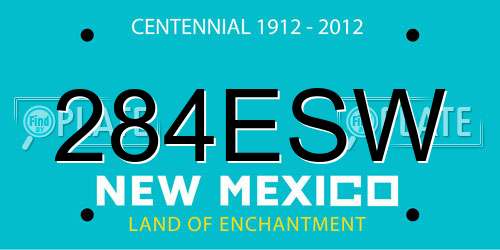 284ESW New Mexico License Plate