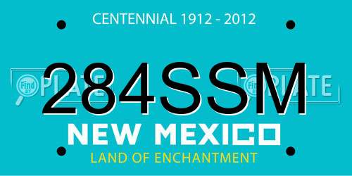 284SSM New Mexico License Plate