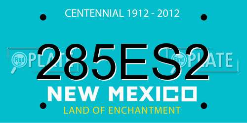 285ES2 New Mexico License Plate