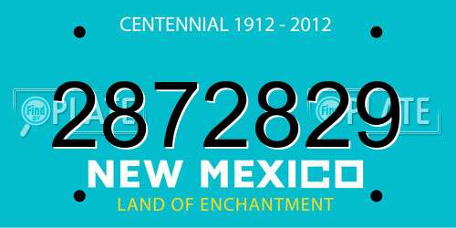 2872829 New Mexico License Plate