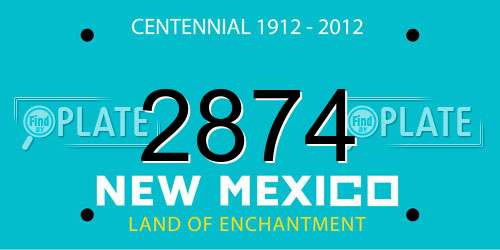 2874 New Mexico License Plate