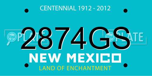 2874GS New Mexico License Plate