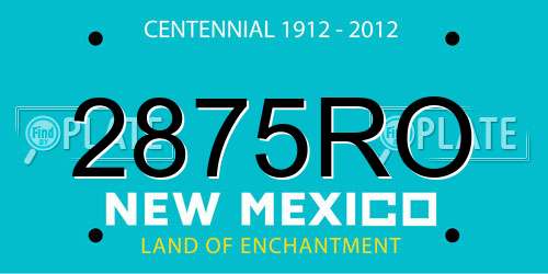 2875RO New Mexico License Plate