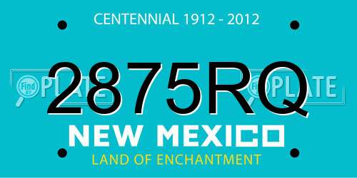 2875RQ New Mexico License Plate