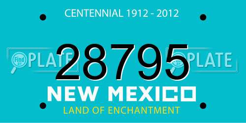 28795 New Mexico License Plate