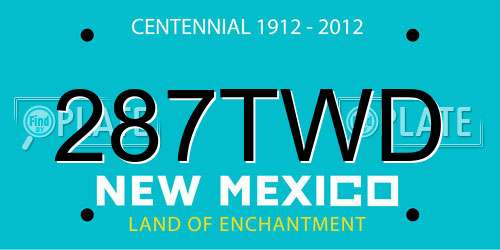 287TWD New Mexico License Plate