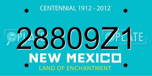 28809Z1 New Mexico License Plate