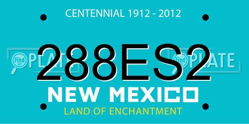 288ES2 New Mexico License Plate
