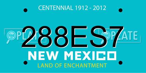 288ES7 New Mexico License Plate