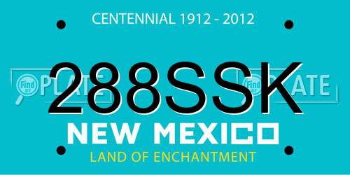 288SSK New Mexico License Plate