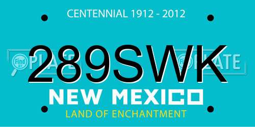 289SWK New Mexico License Plate