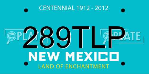 289TLP New Mexico License Plate