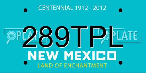 289TPL New Mexico License Plate