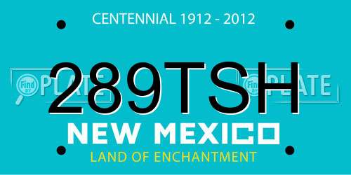 289TSH New Mexico License Plate