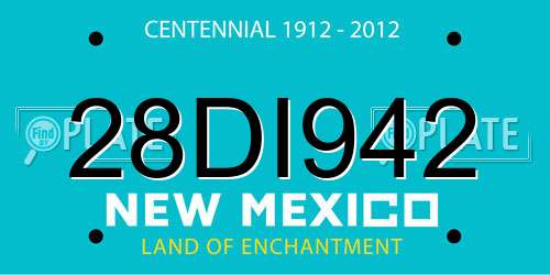 28DI942 New Mexico License Plate