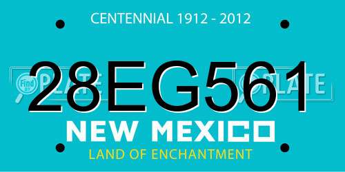 28EG561 New Mexico License Plate