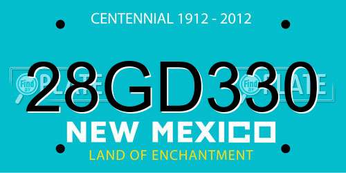 28GD330 New Mexico License Plate