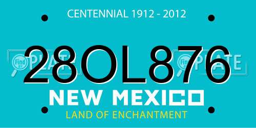 28OL876 New Mexico License Plate
