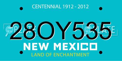 28OY535 New Mexico License Plate