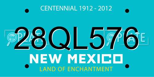 28QL576 New Mexico License Plate