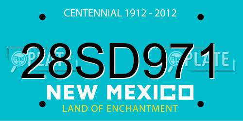 28SD971 New Mexico License Plate