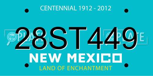 28ST449 New Mexico License Plate
