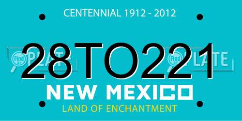 28TO221 New Mexico License Plate