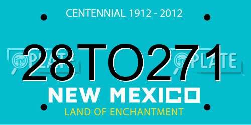 28TO271 New Mexico License Plate