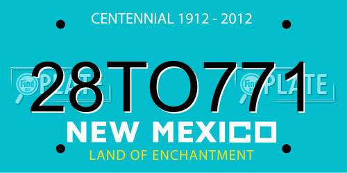28TO771 New Mexico License Plate