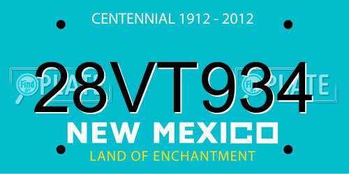 28VT934 New Mexico License Plate