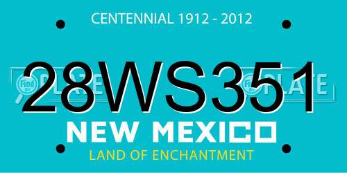 28WS351 New Mexico License Plate