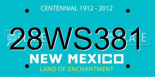 28WS381 New Mexico License Plate