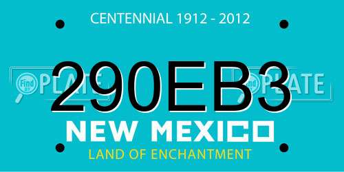 290EB3 New Mexico License Plate
