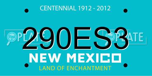 290ES3 New Mexico License Plate