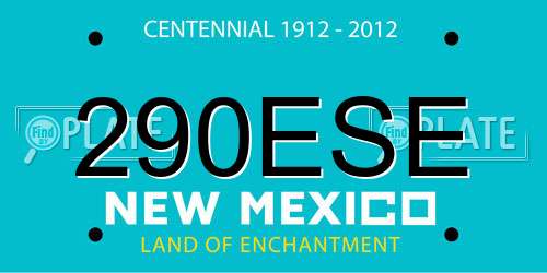290ESE New Mexico License Plate