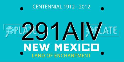 291AIV New Mexico License Plate