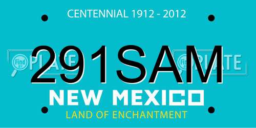291SAM New Mexico License Plate