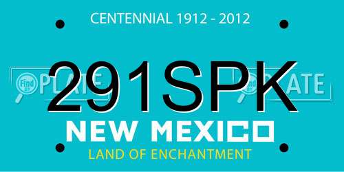 291SPK New Mexico License Plate