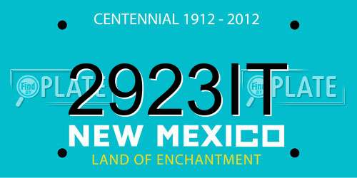 2923IT New Mexico License Plate