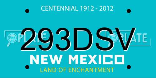 293DSV New Mexico License Plate