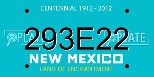 293E22 New Mexico License Plate