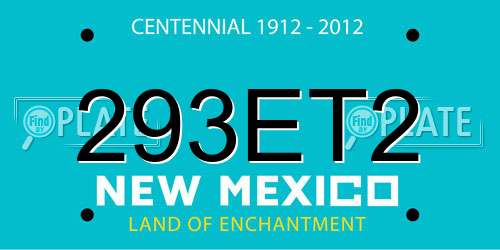 293ET2 New Mexico License Plate