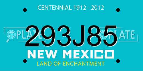 293J85 New Mexico License Plate