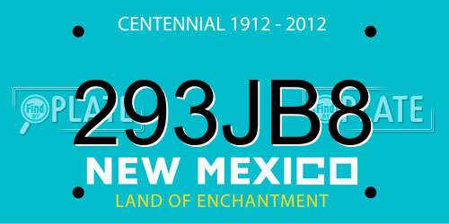 293JB8 New Mexico License Plate