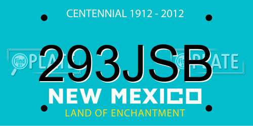 293JSB New Mexico License Plate