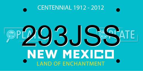 293JSS New Mexico License Plate
