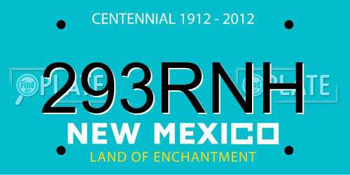 293RNH New Mexico License Plate