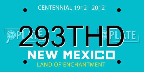 293THD New Mexico License Plate